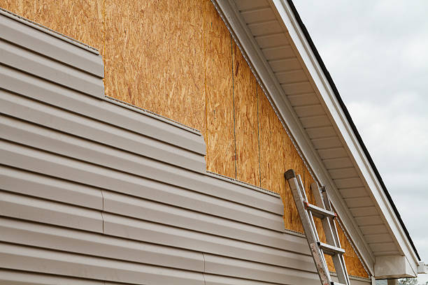 Professional Siding Inspection technician working in Alexandria, VA